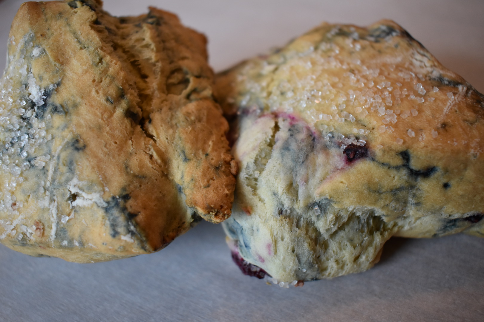 Blackberry Scones - Espresso Evergreen Baked Goods