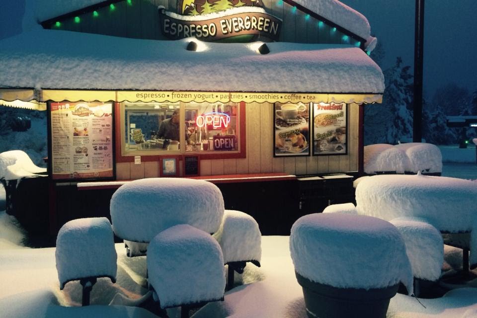 Espresso Evergreen In the Snow