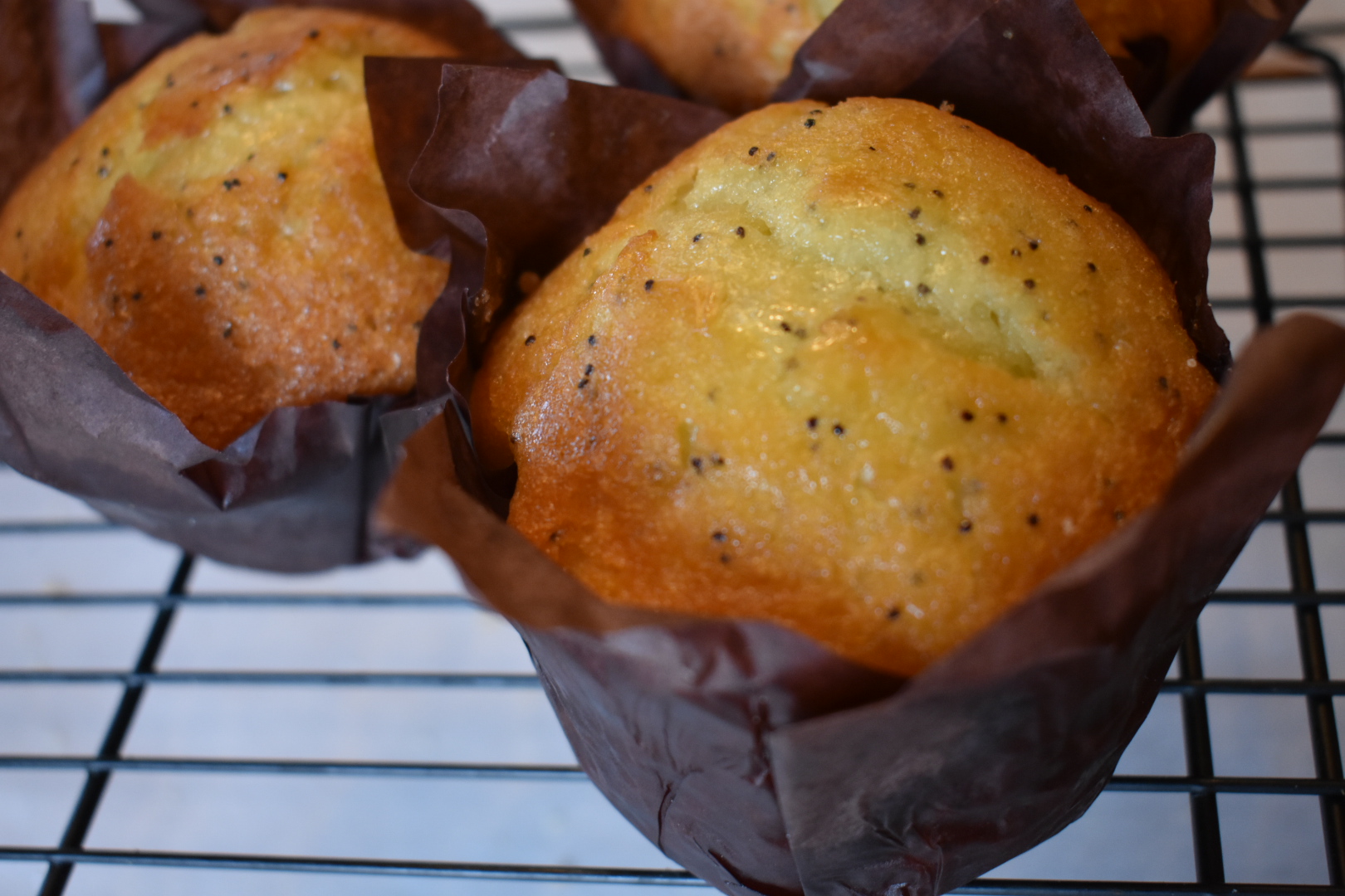 Lemon Poppy Muffins - Espresso Evergreen Baked Goods